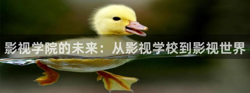 达达兔免费电影网