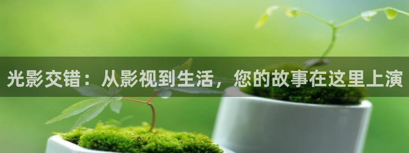 达达兔影院神马电影天堂：光影交错：从影视到生活，您的故事在这里上演